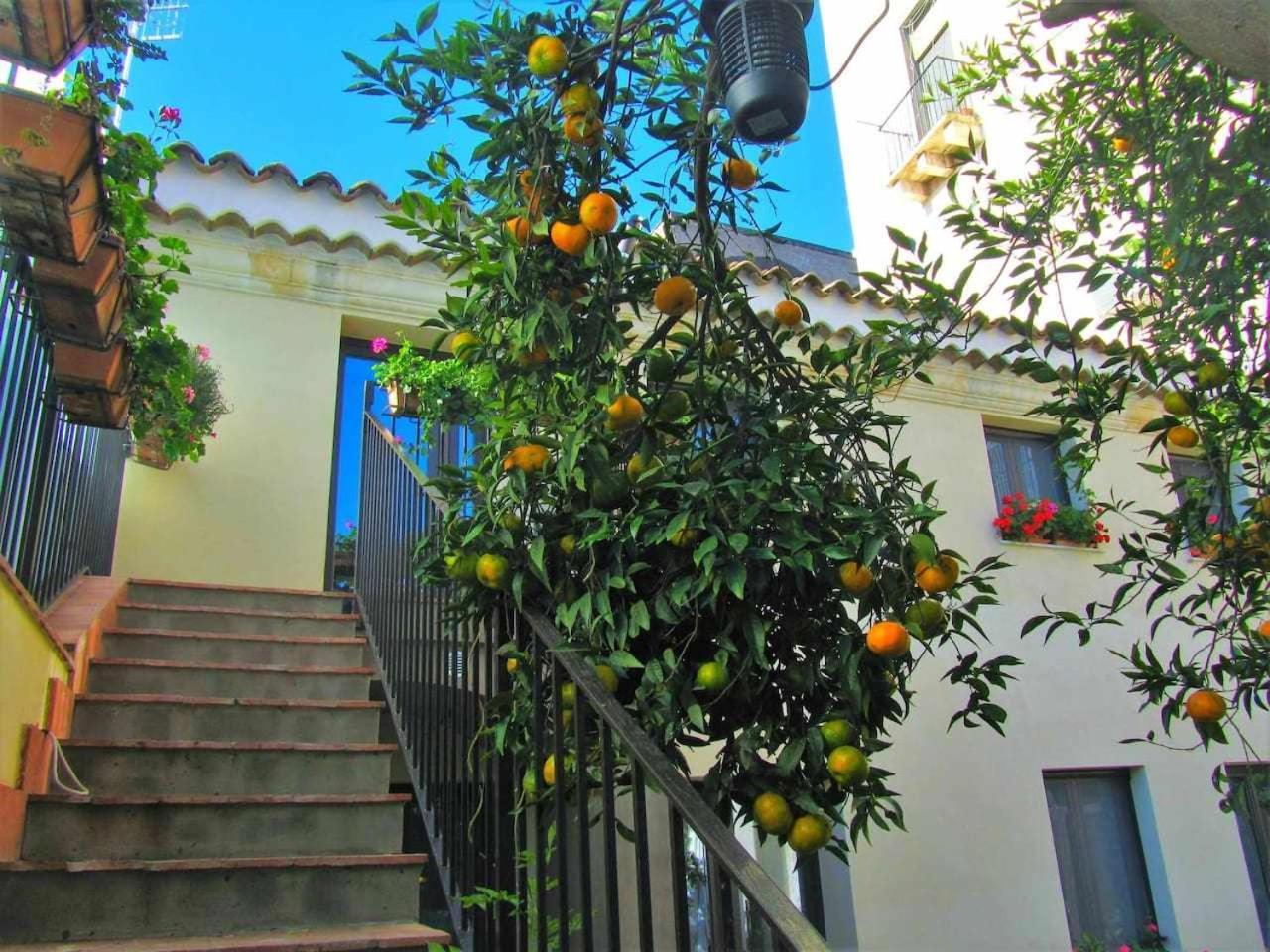 B&B Comeinsicily Cortedeilimoni Charming & Relax Acireale Room photo